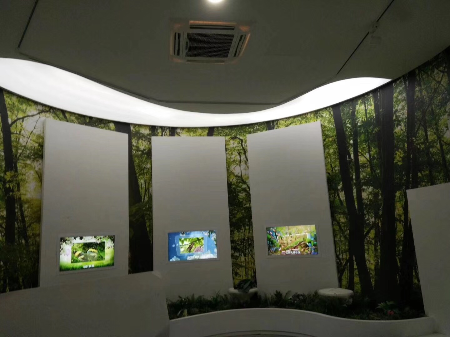 Translucent Shape Image